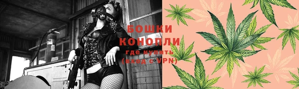 прущие крисы Елабуга