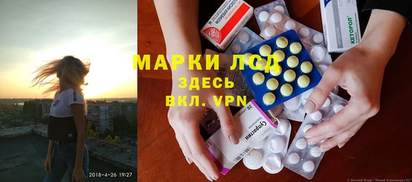 мяу мяу мука Елизово