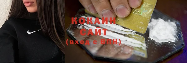 мяу мяу мука Елизово