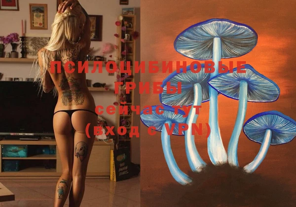 прущие крисы Елабуга