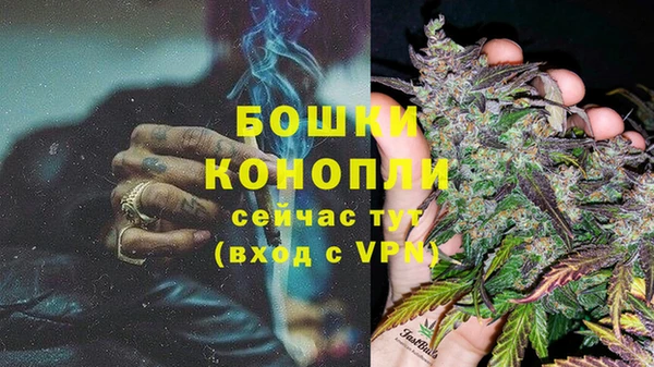 прущие крисы Елабуга